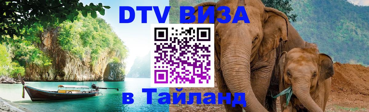 Сколько стоит DTV виза — актуальные цены, оформление даже без документов - 03.10.2025 